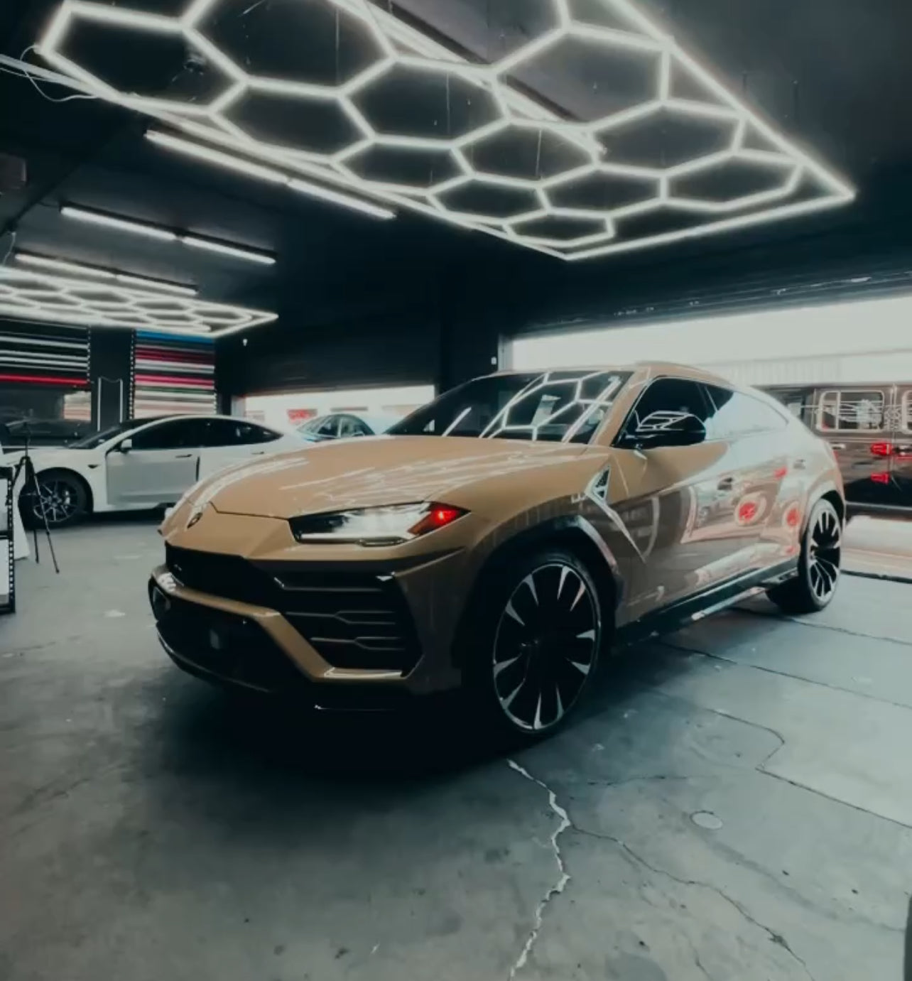 Wraps